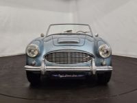 Austin Healey 3000 MK1 - <small></small> 56.500 € <small>TTC</small> - #9