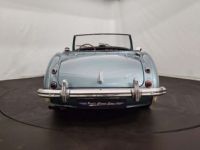 Austin Healey 3000 MK1 - <small></small> 56.500 € <small>TTC</small> - #10