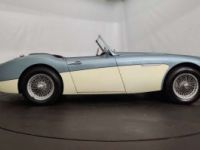 Austin Healey 3000 MK1 - <small></small> 56.500 € <small>TTC</small> - #14