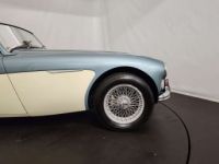 Austin Healey 3000 MK1 - <small></small> 56.500 € <small>TTC</small> - #17