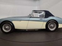 Austin Healey 3000 MK1 - <small></small> 56.500 € <small>TTC</small> - #18