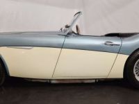 Austin Healey 3000 MK1 - <small></small> 56.500 € <small>TTC</small> - #21