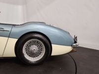 Austin Healey 3000 MK1 - <small></small> 56.500 € <small>TTC</small> - #22