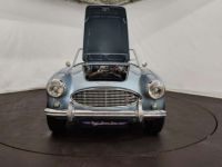 Austin Healey 3000 MK1 - <small></small> 56.500 € <small>TTC</small> - #39