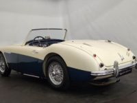 Austin Healey 3000 MK1 BN7 - <small></small> 80.000 € <small>TTC</small> - #3