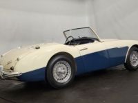 Austin Healey 3000 MK1 BN7 - <small></small> 80.000 € <small>TTC</small> - #4