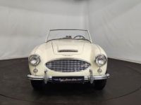 Austin Healey 3000 MK1 BN7 - <small></small> 80.000 € <small>TTC</small> - #6