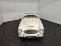 Austin Healey 3000 MK1 BN7 - <small></small> 80.000 € <small>TTC</small> - #7