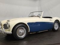 Austin Healey 3000 MK1 BN7 - <small></small> 80.000 € <small>TTC</small> - #8