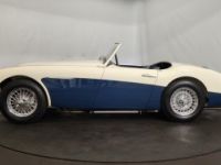 Austin Healey 3000 MK1 BN7 - <small></small> 80.000 € <small>TTC</small> - #9