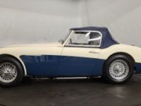 Austin Healey 3000 MK1 BN7 - <small></small> 80.000 € <small>TTC</small> - #14