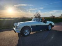 Austin Healey 3000 MK1 BN7 - <small></small> 80.000 € <small>TTC</small> - #72