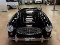 Austin Healey 3000 MK1 BN7 Roadster  - <small></small> 97.000 € <small>TTC</small> - #2