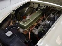 Austin Healey 3000 MK1 BT 7 - <small></small> 59.900 € <small>TTC</small> - #41