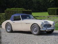 Austin Healey 3000 MK1 - BT7 - <small></small> 67.500 € <small>TTC</small> - #1