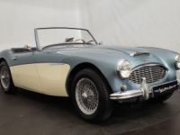 Austin Healey 3000 MK1 BT7 - <small></small> 56.500 € <small>TTC</small> - #1