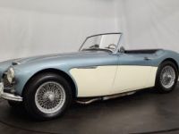 Austin Healey 3000 MK1 BT7 - <small></small> 56.500 € <small>TTC</small> - #2