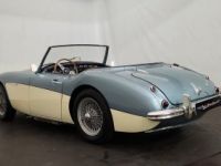 Austin Healey 3000 MK1 BT7 - <small></small> 56.500 € <small>TTC</small> - #3