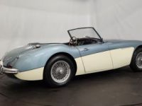 Austin Healey 3000 MK1 BT7 - <small></small> 56.500 € <small>TTC</small> - #4