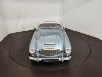 Austin Healey 3000 MK1 BT7 - <small></small> 56.500 € <small>TTC</small> - #7