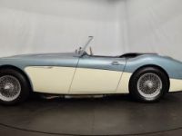 Austin Healey 3000 MK1 BT7 - <small></small> 56.500 € <small>TTC</small> - #8