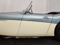 Austin Healey 3000 MK1 BT7 - <small></small> 56.500 € <small>TTC</small> - #10