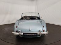 Austin Healey 3000 MK1 BT7 - <small></small> 56.500 € <small>TTC</small> - #12