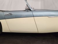 Austin Healey 3000 MK1 BT7 - <small></small> 56.500 € <small>TTC</small> - #16