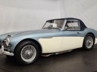 Austin Healey 3000 MK1 BT7 - <small></small> 56.500 € <small>TTC</small> - #21