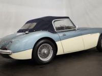 Austin Healey 3000 MK1 BT7 - <small></small> 56.500 € <small>TTC</small> - #24