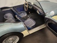 Austin Healey 3000 MK1 BT7 - <small></small> 56.500 € <small>TTC</small> - #39