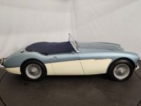 Austin Healey 3000 MK1 BT7 - <small></small> 56.500 € <small>TTC</small> - #43