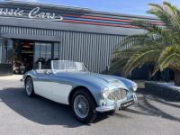 Austin Healey 3000 MK1 BT7 - <small></small> 56.500 € <small>TTC</small> - #67