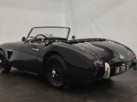 Austin Healey 3000 MK1 BT7 - <small></small> 68.500 € <small>TTC</small> - #24