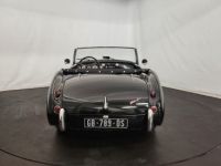 Austin Healey 3000 MK1 BT7 - <small></small> 68.500 € <small>TTC</small> - #25