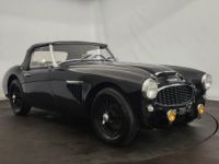 Austin Healey 3000 MK1 BT7 - <small></small> 68.500 € <small>TTC</small> - #28