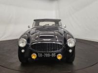 Austin Healey 3000 MK1 BT7 - <small></small> 68.500 € <small>TTC</small> - #29