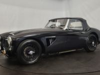 Austin Healey 3000 MK1 BT7 - <small></small> 68.500 € <small>TTC</small> - #30