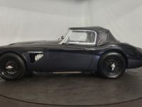 Austin Healey 3000 MK1 BT7 - <small></small> 68.500 € <small>TTC</small> - #31