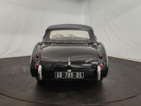 Austin Healey 3000 MK1 BT7 - <small></small> 68.500 € <small>TTC</small> - #33