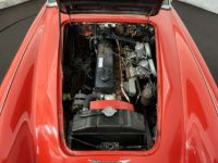 Austin Healey 3000 MK2 BJ7 - <small></small> 49.900 € <small>TTC</small> - #41