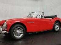 Austin Healey 3000 MK2 BJ7 - <small></small> 47.500 € <small>TTC</small> - #5