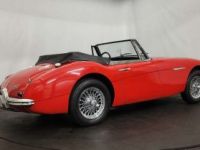 Austin Healey 3000 MK2 BJ7 - <small></small> 47.500 € <small>TTC</small> - #6