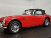 Austin Healey 3000 MK2 BJ7 - <small></small> 47.500 € <small>TTC</small> - #7