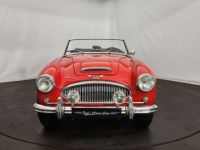 Austin Healey 3000 MK2 BJ7 - <small></small> 47.500 € <small>TTC</small> - #10