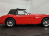 Austin Healey 3000 MK2 BJ7 - <small></small> 47.500 € <small>TTC</small> - #18