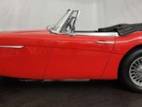 Austin Healey 3000 MK2 BJ7 - <small></small> 47.500 € <small>TTC</small> - #25