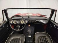 Austin Healey 3000 MK2 BJ7 - <small></small> 47.500 € <small>TTC</small> - #34