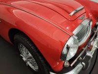 Austin Healey 3000 MK2 BJ7 - <small></small> 47.500 € <small>TTC</small> - #60