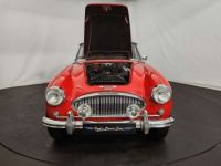 Austin Healey 3000 MK2 BJ7 - <small></small> 47.500 € <small>TTC</small> - #61